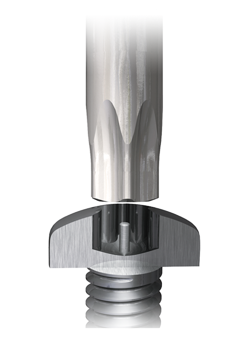 Tamper-proof TORX and head of screw